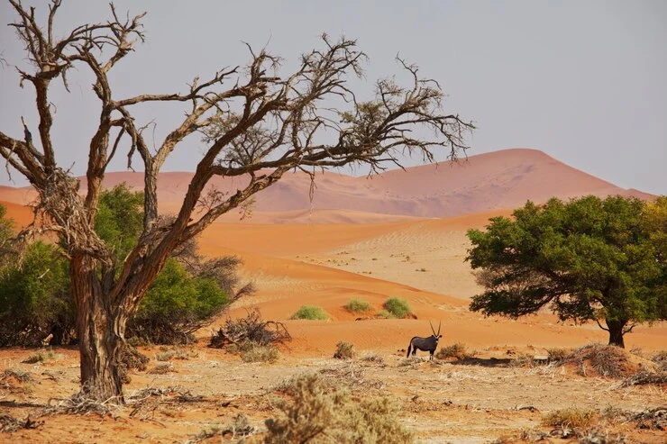 Ethiopia